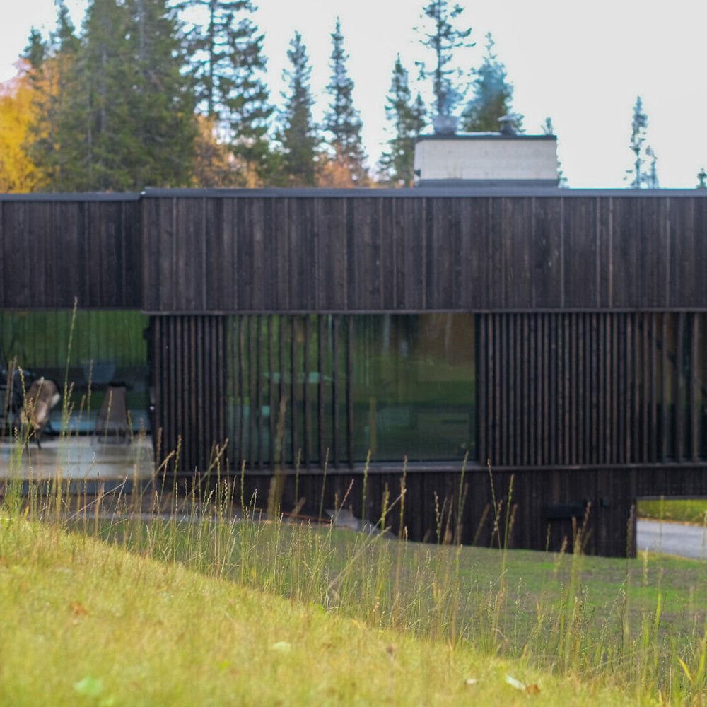 Bustamon-Hamran-HOYFOTOAZF-_2-uai-1920x1080