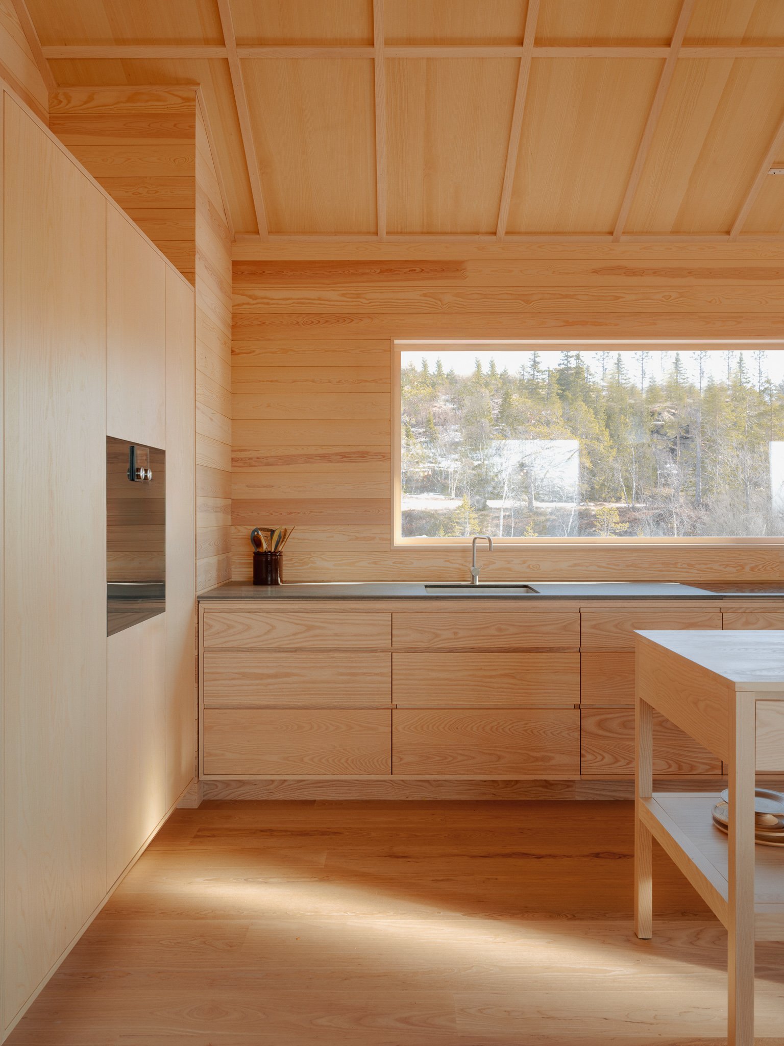 Hamran-Norefjell-Rakketjennmyra_Photo_Einar_Aslaksen-9443_web