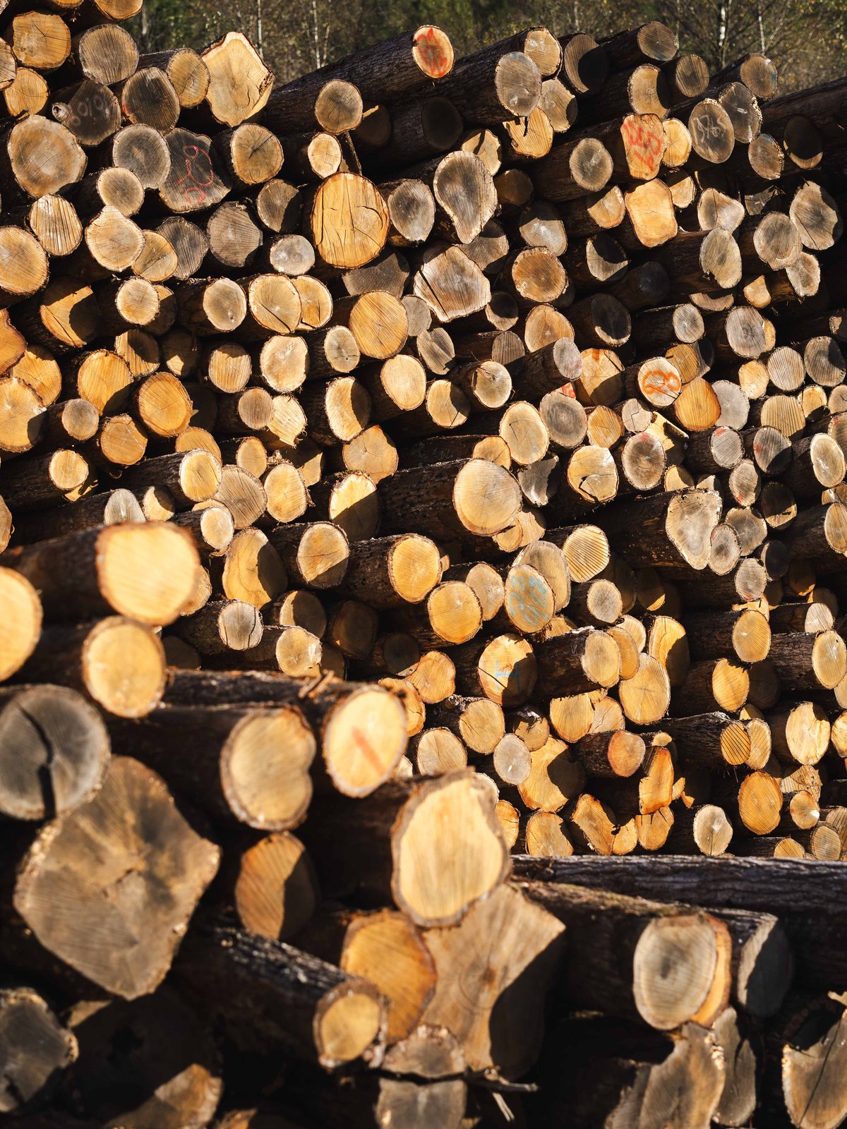 {{value.alt|default:value.image.title}}